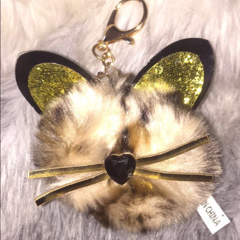 Kitty key chain😻